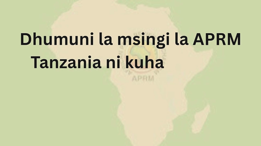 APRM na Tanzania